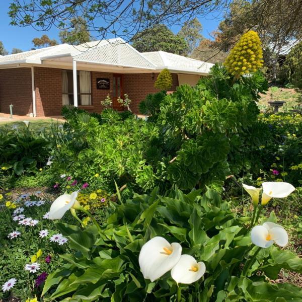 Watervale Hotel Guesthouse Exterior photo